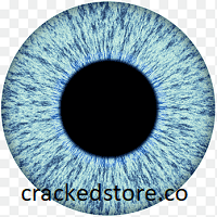 Blue Iris 5.6.9.2 Crack + Activation Key Free Download 2023