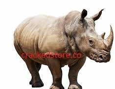 Rhinoceros 7.23 Crack + Serial Key 2023 Free Download